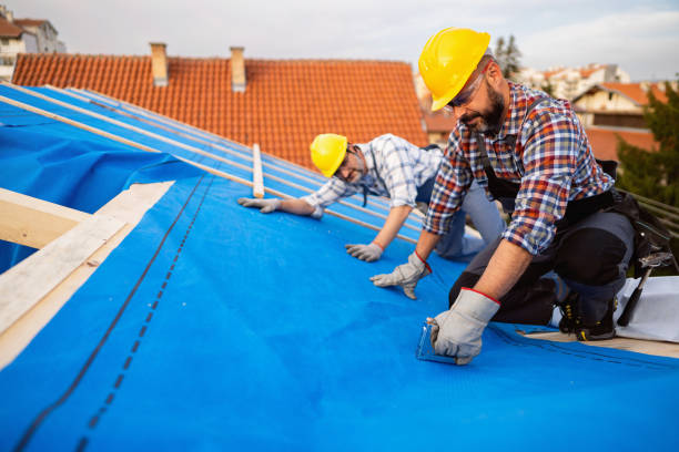 Best Storm Damage Roof Repair  in Occidental, CA